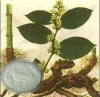 China resveratrol - China Supplier China resveratrol - China Supplier