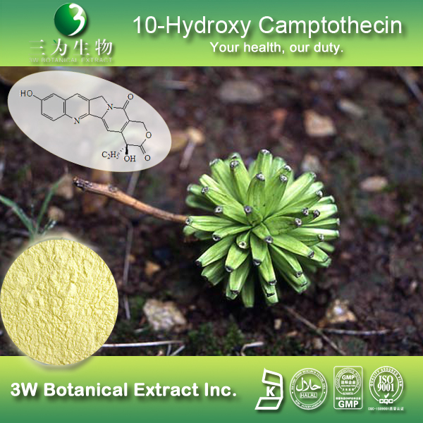 China 10-Hydroxy camptothecin - China Supplier