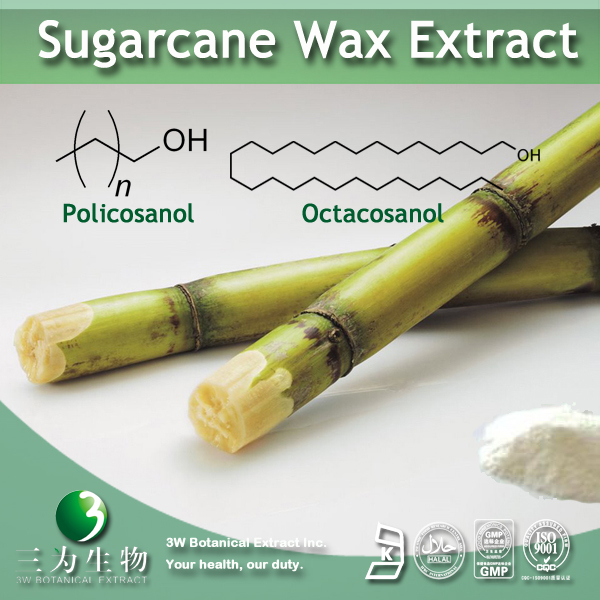 China Octacosanol - China Supplier