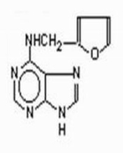 China 6-Furfurylaminopurine - China Supplier