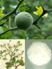 China Neohesperidin - China Supplier China Neohesperidin - China Supplier