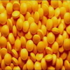 China Bisacodyl - China Supplier China Bisacodyl - China Supplier