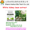 China White kidney bean P.E - China Supplier China White kidney bean P.E - China Supplier