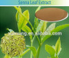 China Senna Leaf Extract - China Supplier China Senna Leaf Extract - China Supplier