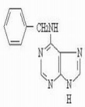 China 6-Benzylaminopurine - China Supplier