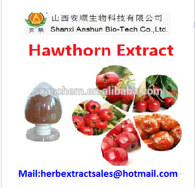 China Ginkgo Biloba extract - China Supplier China Ginkgo Biloba extract - China Supplier