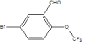 China 5-Bromo-2-(trifluoromethoxy)benzaldehyde - China Supplier China 5-Bromo-2-(trifluoromethoxy)benzaldehyde - China Supplier