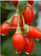China Gouqi polysaccharides - China Supplier China Gouqi polysaccharides - China Supplier