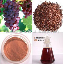 China Grape seed extract Polyphenol - China Supplier China Grape seed extract Polyphenol - China Supplier