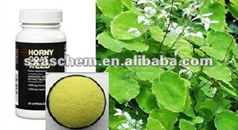 China Sex Enhancing Epimedium extract - China Supplier China Sex Enhancing Epimedium extract - China Supplier