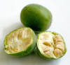 China Luo Han Guo plant extract - China Supplier China Luo Han Guo plant extract - China Supplier
