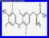 China L-Thyroxine - China Supplier China L-Thyroxine - China Supplier