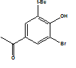 China 2-Bromo-6-tert-butyl-4-(1,1-dimethoxyethyl)anisole - China Supplier China 2-Bromo-6-tert-butyl-4-(1,1-dimethoxyethyl)anisole - China Supplier