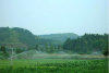 China Super-wetting additive for agricultural applications - China Supplier China Super-wetting additive for agricultural applications - China Supplier