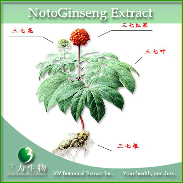 China Tomato plant extract - China Supplier China Tomato plant extract - China Supplier