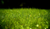 China Synergistic Agent - China Supplier China Synergistic Agent - China Supplier