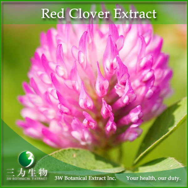China Vine tea plant extract - China Supplier China Vine tea plant extract - China Supplier