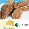 China Angelica Extract - China Supplier