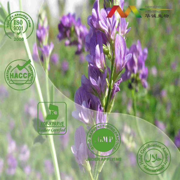 China Alfalfa Extract - China Supplier