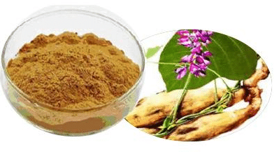 China Lobed Kudzuvine Root P.E. - China Supplier China Lobed Kudzuvine Root P.E. - China Supplier