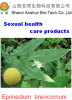 China Horny Goat Weed Extract - China Supplier China Horny Goat Weed Extract - China Supplier