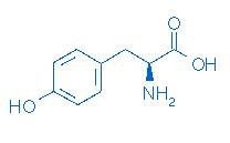 China  - China Supplier