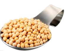 China Isoflavone,soybean isoflavones p.e - China Supplier