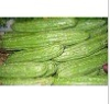 China natural Bitter melon extract - China Supplier China natural Bitter melon extract - China Supplier