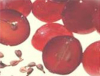 China Grape seed P.E. - China Supplier