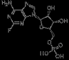 China Fludarabine Phosphate - China Supplier China Fludarabine Phosphate - China Supplier