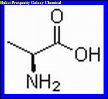 China L-Alanine - China Supplier