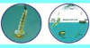 China Bacillus Thuringiensis Israelensis - China Supplier China Bacillus Thuringiensis Israelensis - China Supplier