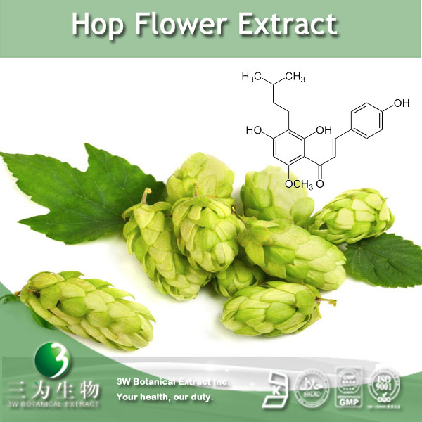 China Hop Flower Extract - China Supplier China Hop Flower Extract - China Supplier