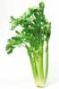 China Apigenin - China Supplier