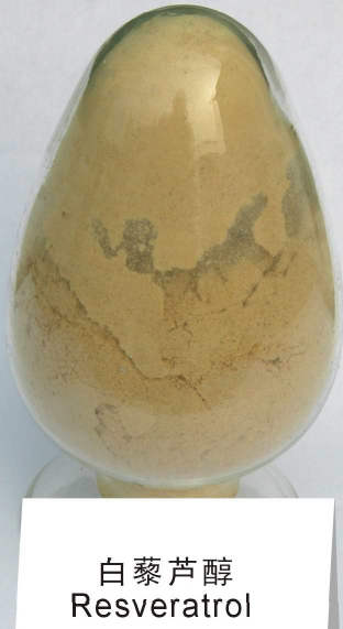 China  - China Supplier