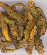 China Berberine - China Supplier