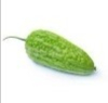China Organic Bitter Melon Extract - China Supplier