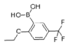 China 2-ethoxy-5-(trifluoromethoxy)phenylboronicacid - China Supplier China 2-ethoxy-5-(trifluoromethoxy)phenylboronicacid - China Supplier