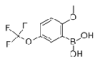 China 2-isopropoxy-5-(trifluoromethoxy)phenylboronicacid - China Supplier China 2-isopropoxy-5-(trifluoromethoxy)phenylboronicacid - China Supplier