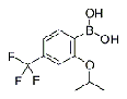 China 2-isopropoxy-4-(trifluoromethyl)phenylboronicacid - China Supplier China 2-isopropoxy-4-(trifluoromethyl)phenylboronicacid - China Supplier