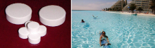 China sdic powder - China Supplier