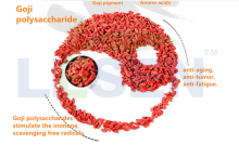 China goji fruit extract - China Supplier