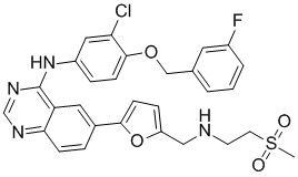 China Lapatinib - China Supplier