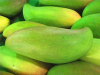 China Africa mango seed extract - China Supplier China Africa mango seed extract - China Supplier