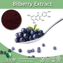 China Bilberry Extract - China Supplier