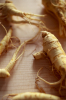 China Ginseng extract - China Supplier China Ginseng extract - China Supplier