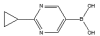 China 2-(Cyclopropyl)pyrimidine-5-Boronicacid - China Supplier China 2-(Cyclopropyl)pyrimidine-5-Boronicacid - China Supplier