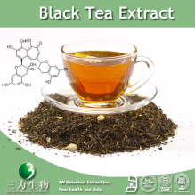 China Black Tea Extract - China Supplier