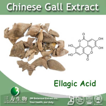 China Chinese Gall Extract - China Supplier