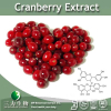 China Cranberry Extract - China Supplier China Cranberry Extract - China Supplier